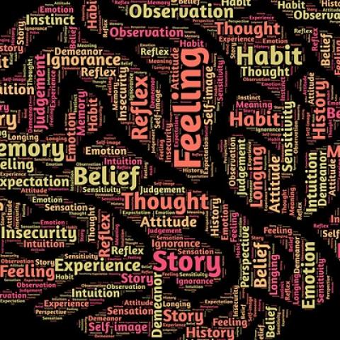 Pictured: positive mental health word cloud in shape of brain